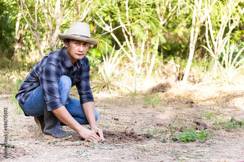 Men who are growing vegetables