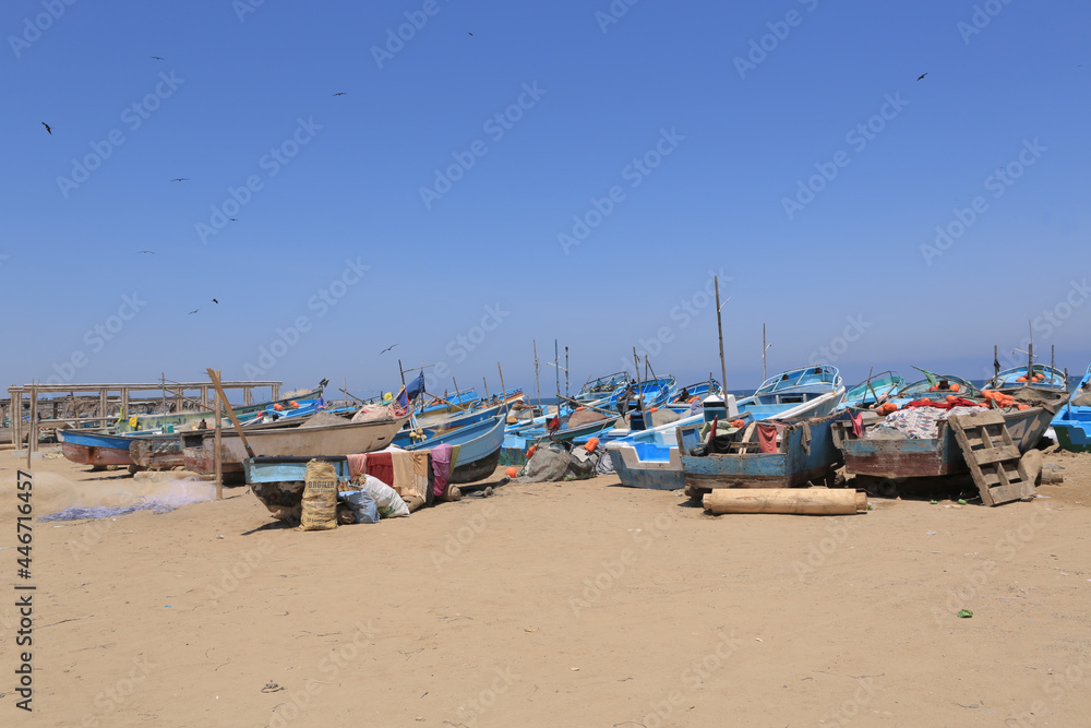 boats on the beach in the country