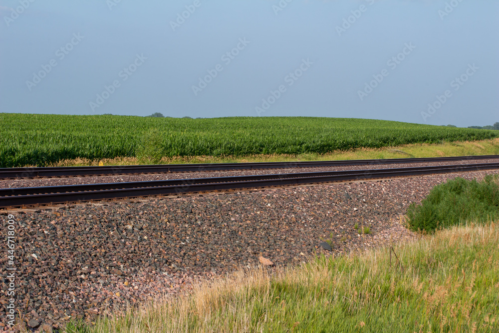Obraz premium Landscape view of a double railroad track in a rural agricultural landscape on a sunny day, with fields in the background