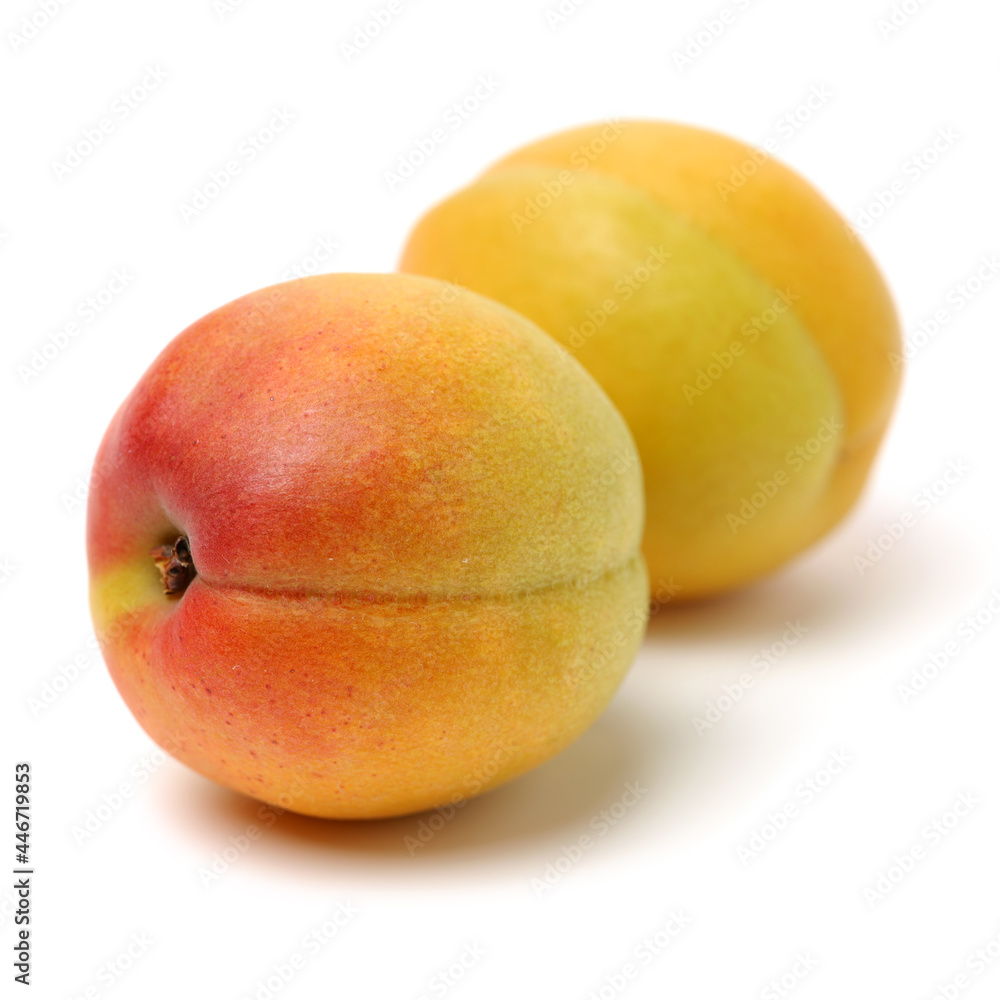 Fresh apricot fruits isolated on white background Fresh apricot fruits isolated on white background