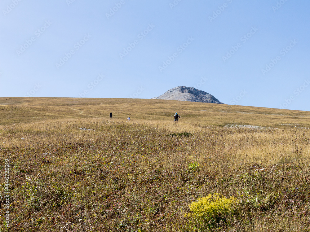 Obraz premium Panoramic views of the mountains from hiking trails in the mountainous area on a warm, sunny autumn day, walking and communicating with nature.