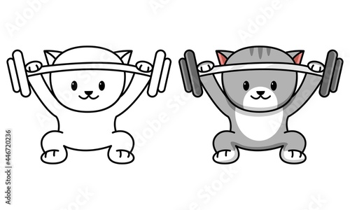 cat with barbell coloring page for kids