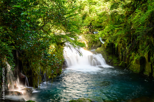 菊池渓谷：湧水の流れる森(涼しい風景) Kikuchi Gorge: Forest with flowing springs (cool scenery) 滝「天狗滝・竜ヶ渕」と光芒の輝き The waterfall 