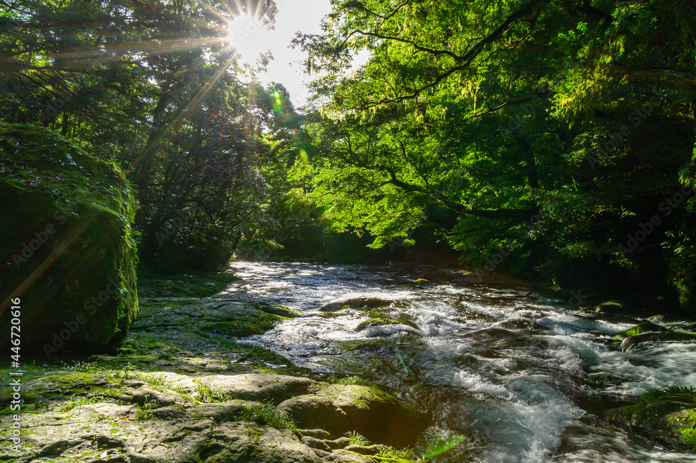 菊池渓谷:湧水の流れる森(涼しい風景)と光芒の輝き景色 Kikuchi Gorge: Forest with flowing springs ...
