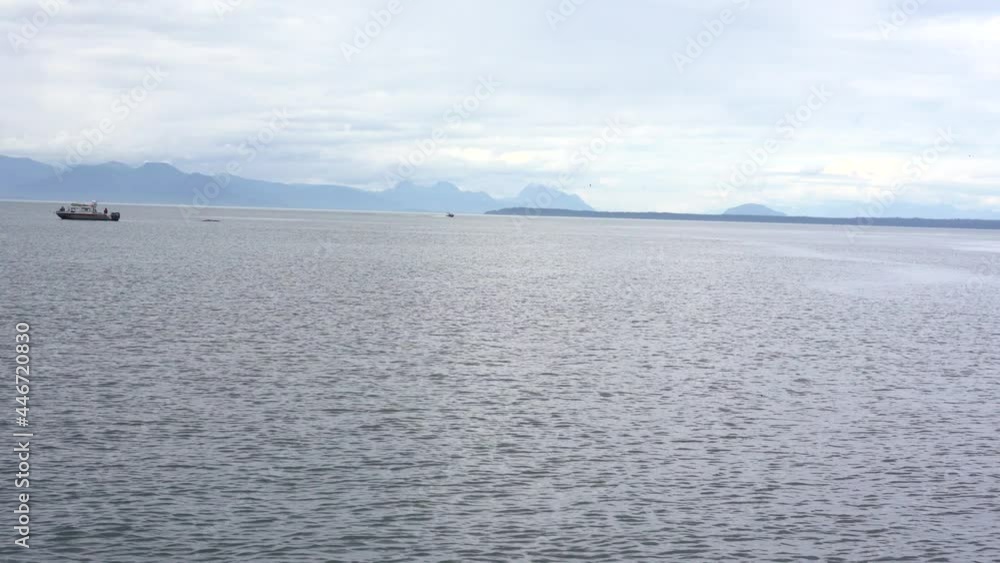 On Board A Whale Watching cruise On Board A Whale Watching cruise