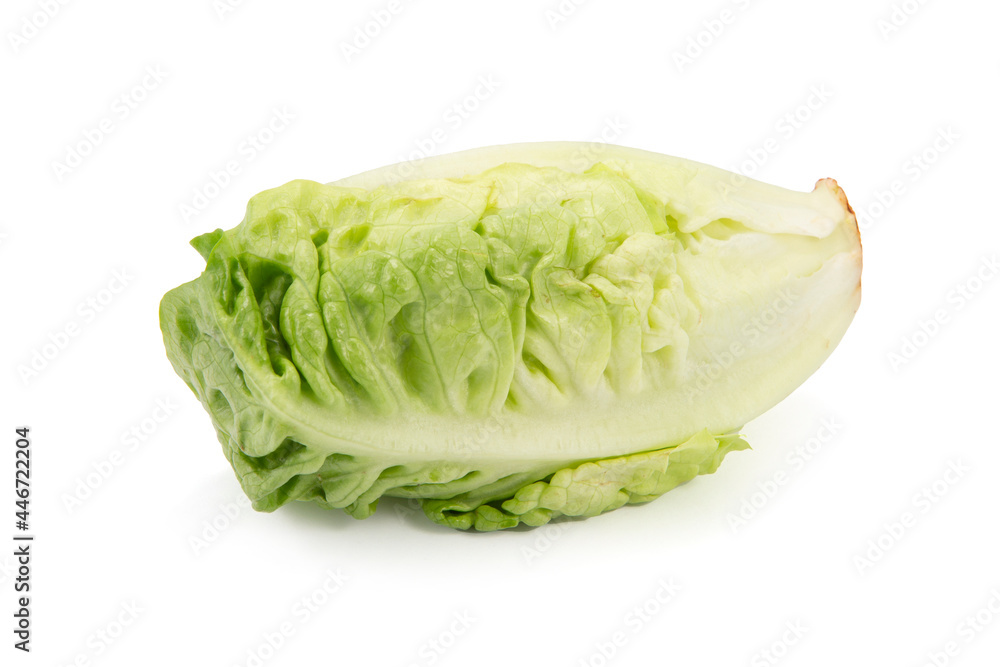 Lechuga fresca Lechuga fresca