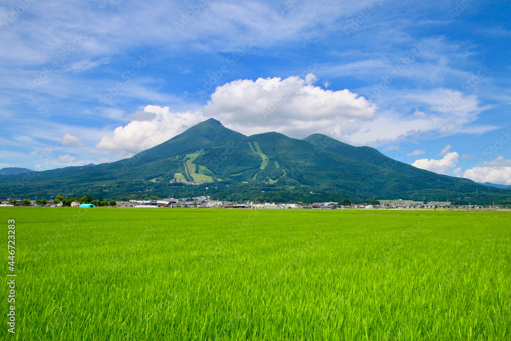 Fototapeta premium 田園と磐梯山(福島県・猪苗代町)