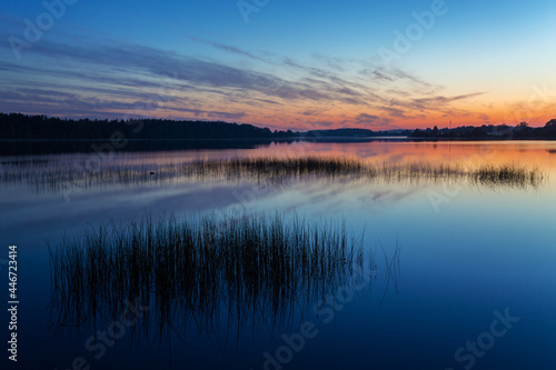 An early blue sunrise over a quiet, mirror-like surface of water on the reed-covered Daugava River with wavy purple clouds