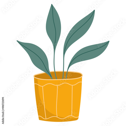 houseplant in pot