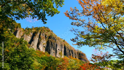View from the forest to the mountain