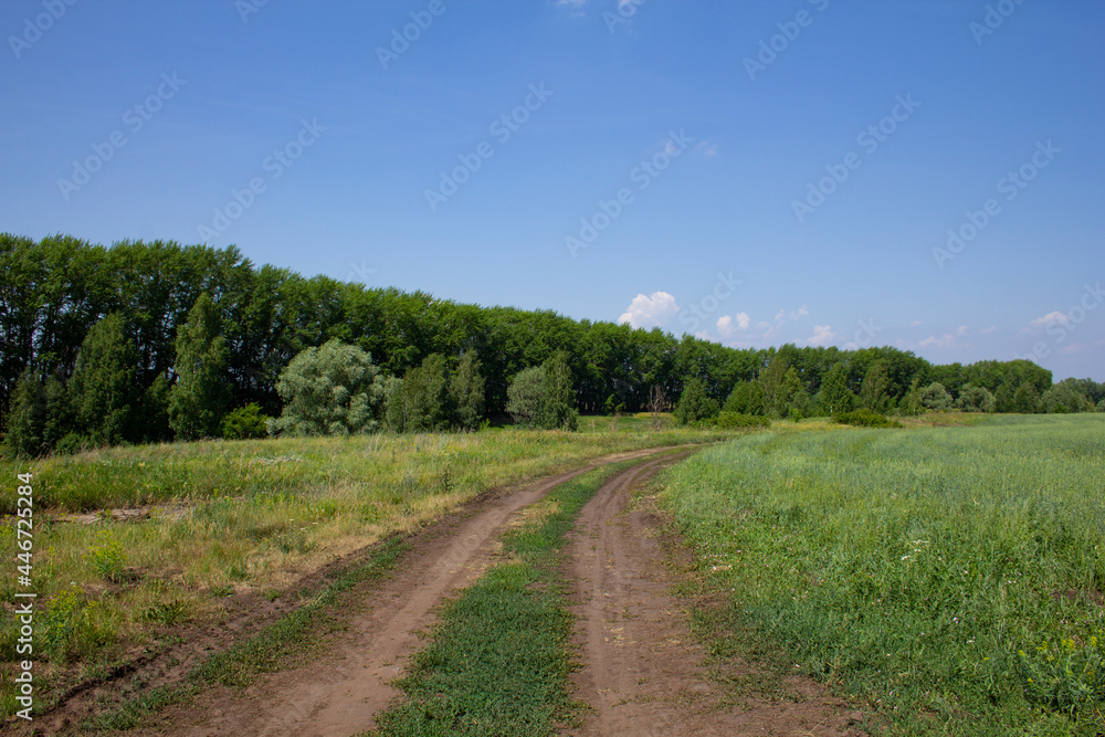 The vastness of Russia in hot summer. Road landscapes of the beauties of Russia.