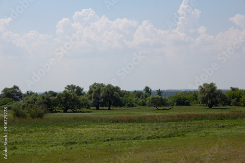 The vastness of Russia in hot summer. Road landscapes of the beauties of Russia.