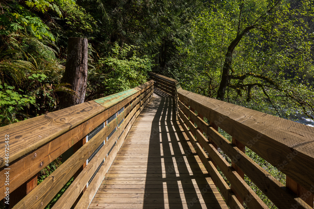Fototapeta premium Wooded trail sidewalk by Snoqualmie Falls at Washington State during summer.