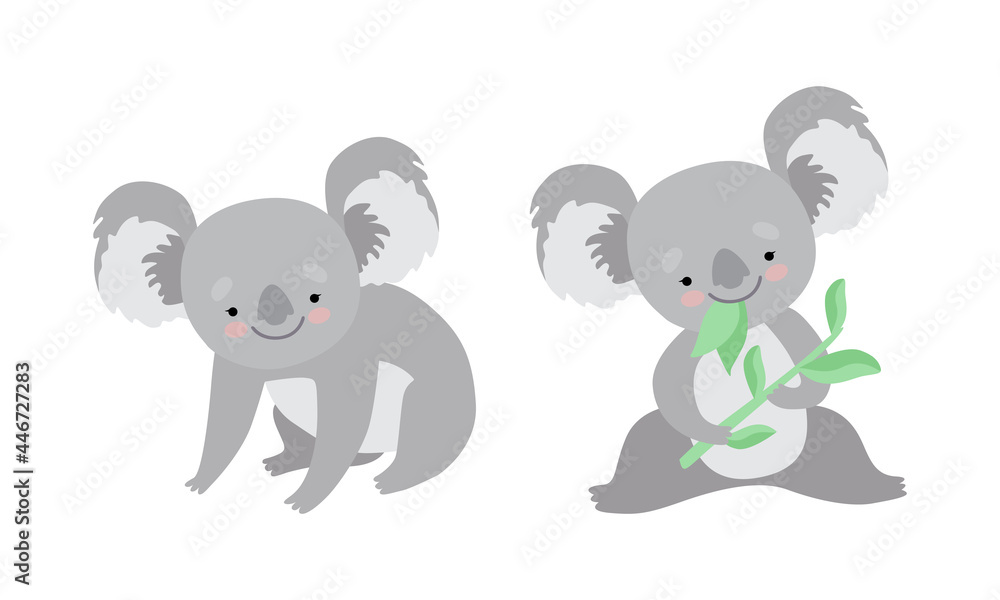 Cute Gray Koala Bear Chewing Eucalypt Leaf Vector Set Cute Gray Koala Bear Chewing Eucalypt Leaf Vector Set