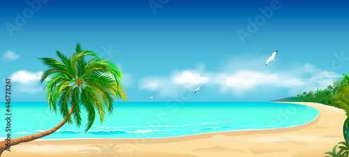 Tropics sandy beach ocean. Sandy tropical beach. Palm tree above the water. Ocean coast. Seascape of the shore. Ocean, sky, clouds, sand