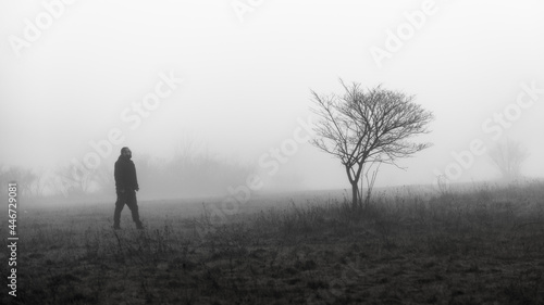 person in the fog