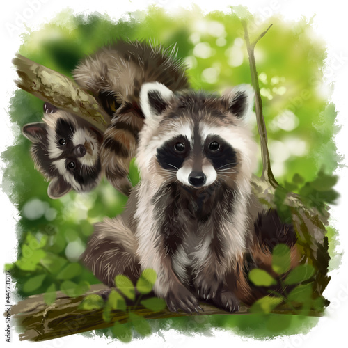 Two raccoons are sitting on the branches of a tree