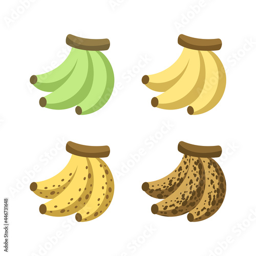 Ripening stages of bananas icon set. Banana ripeness color unripe to overripe. Fruit infographic clipart element vector illustration.