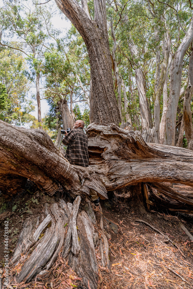 Male senior with a camera enjoying hobby photography outdoors while hiking in a forest Male senior with a camera enjoying hobby photography outdoors while hiking in a forest