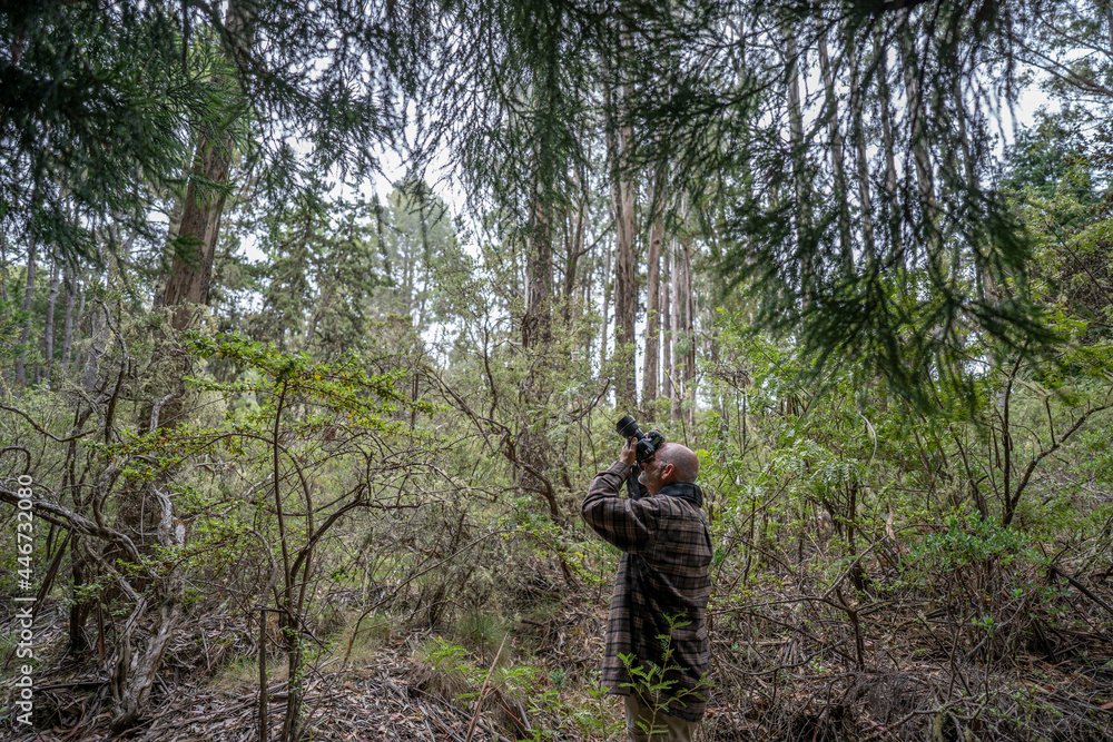Fototapeta premium Male senior with a camera enjoying hobby photography outdoors while hiking in a forest