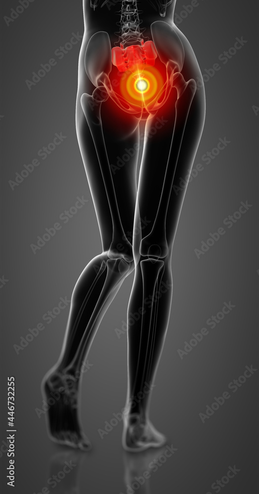 3d rendering of sacrum bone 3d rendering of sacrum bone