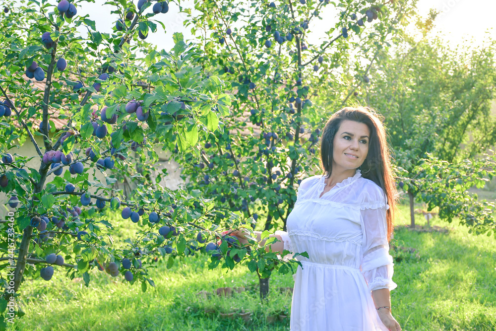 Young beautiful smiling woman with romantic dress at orchar near a plum tree. Young pretty farmer woman Young beautiful smiling woman with romantic dress at orchar near a plum tree. Young pretty farmer woman