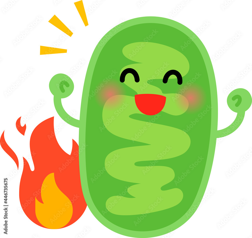 元気なミトコンドリアのキャラクター Stock Vector Adobe Stock