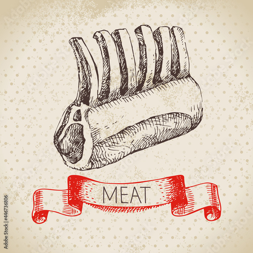 Hand drawn sketch meat product. Vector vintage lamb ribs illustration. Menu design