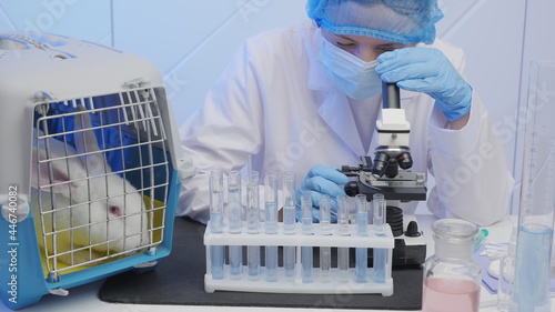 Medical laboratory: Portrait of female scientist looking under microscope, a cage with a rabbit on the table. Animal testing, vaccine research