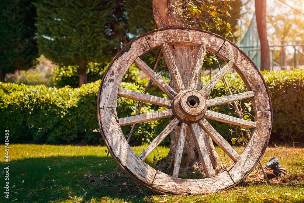 Close-up of an old rustic wooden wagon wheel leaning to tree trunk in summer.