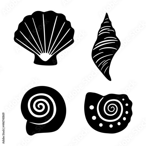 Set of various vector black seashells and starfish isolated on white. Collection of silhouettes of seashells.