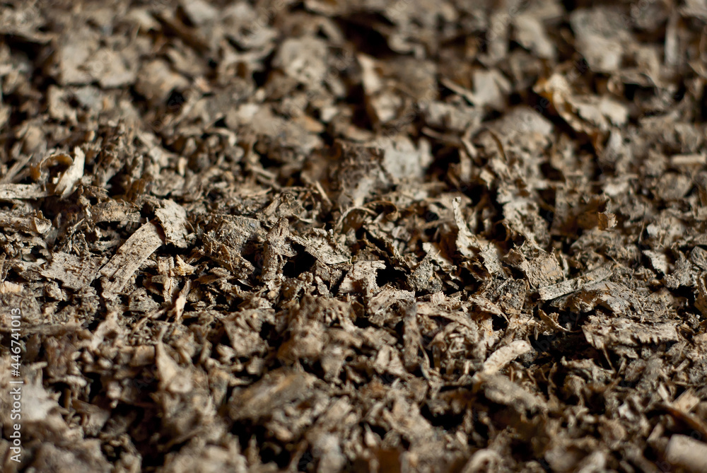 Waste wood at the factory. Thistle texture. Remains of wood after processing boards in a furniture factory. Waste wood at the factory. Thistle texture. Remains of wood after processing boards in a furniture factory.