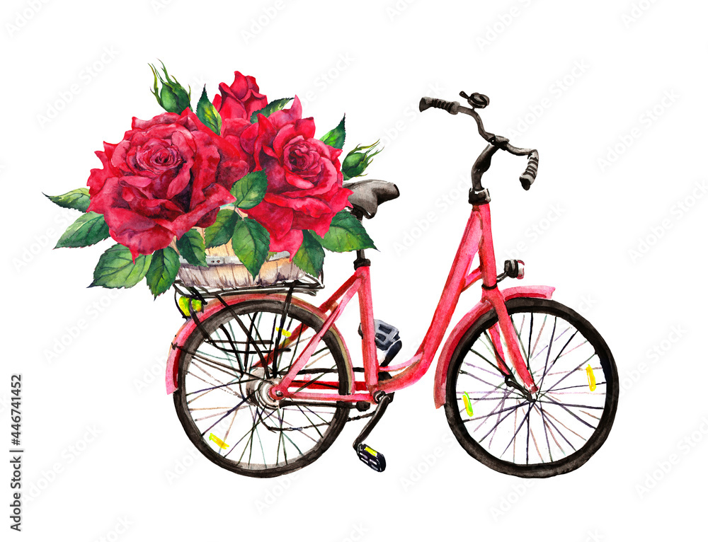 Pink bicycle, red roses flowers in basket. Watercolor