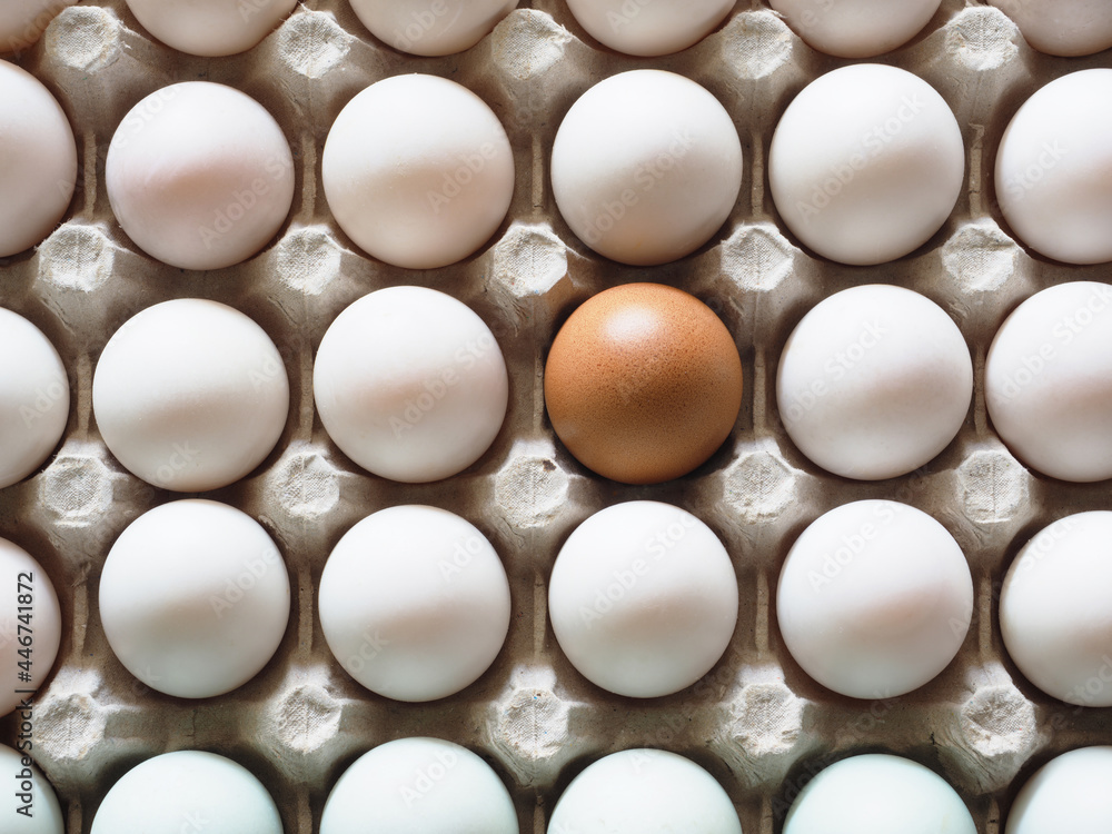 Egg in duck eggs group in carton box difference concept idea and nature light and shadow top view Egg in duck eggs group in carton box difference concept idea and nature light and shadow top view