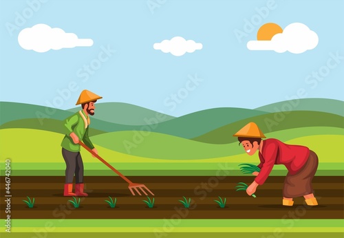 Farmer plant rice in rice field agriculture industry in asia scene illustration vector
