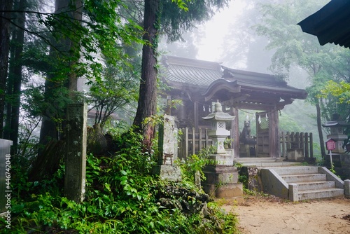 Fotótapéta 霧 武蔵御嶽神社 Mist Musashi Mitake Shrine