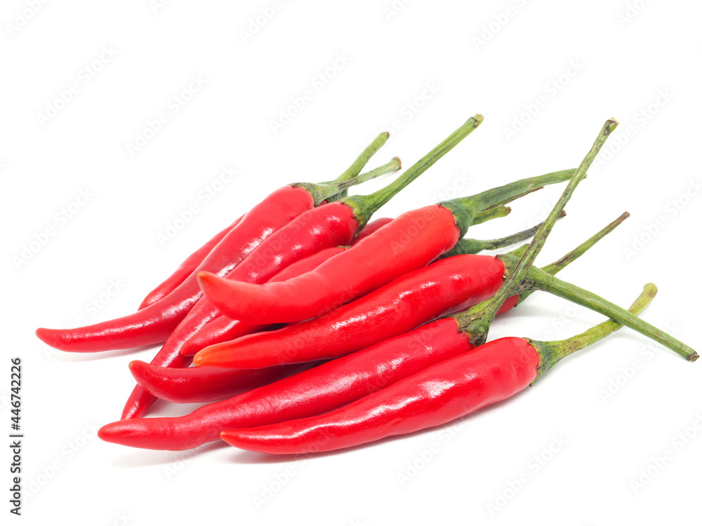 Freshness red chilli peppers group on white isolated background
