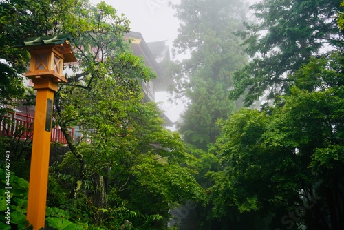 霧 御岳山 Mist Mount Mitake