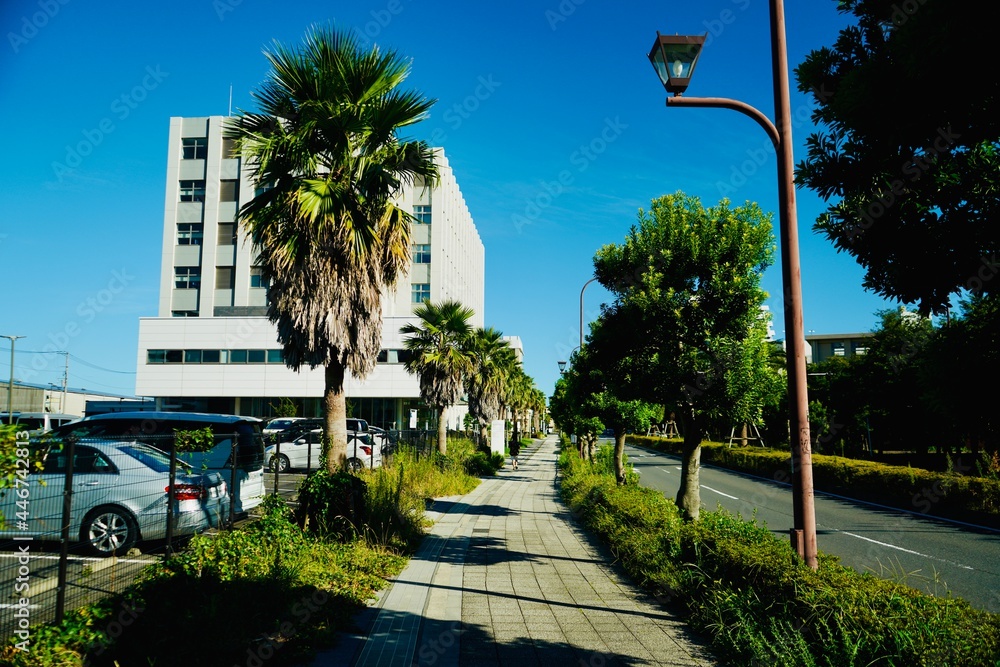 Fototapeta premium 横須賀 yokosuka