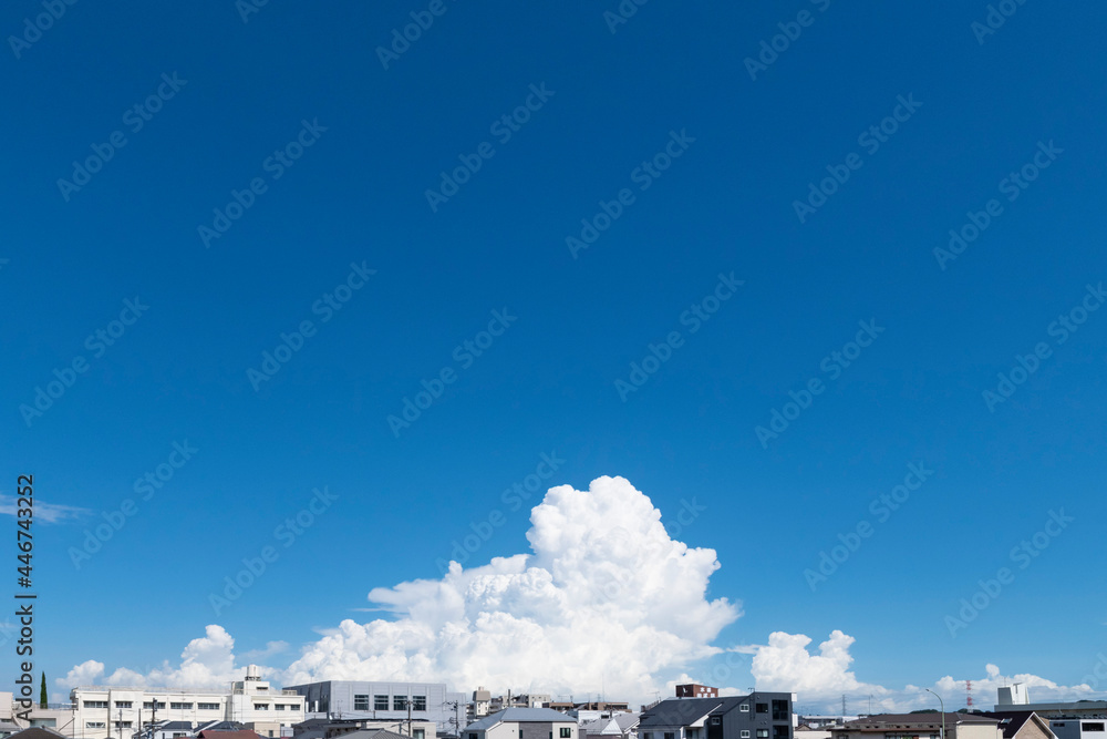 Obraz premium 夏空