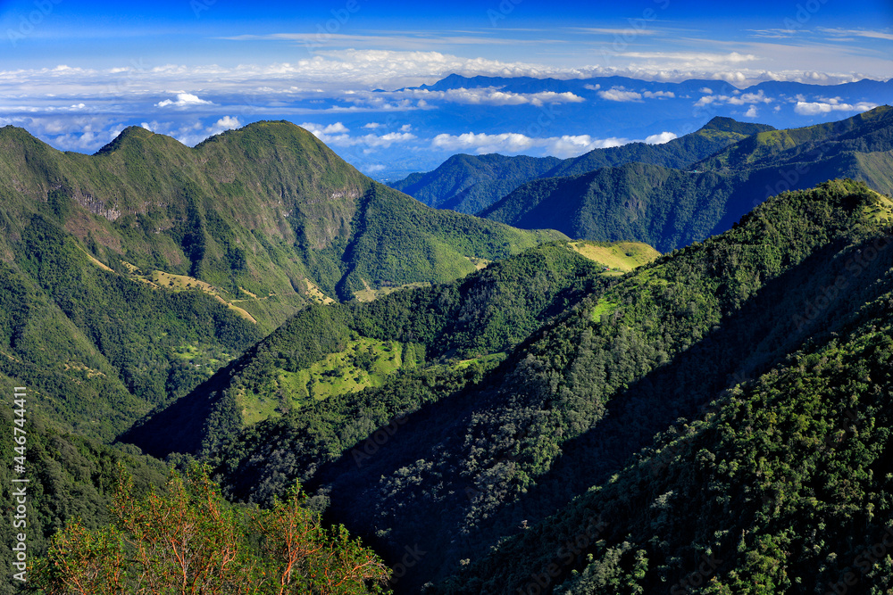 Naklejka premium Ecuador landscape, Yanacocha reserve. Pichincha volcano, clear day in the high mountain in Ecuador. Pichincha (4794 m), hill in the clouds on the blue sky. Travelling in South America.