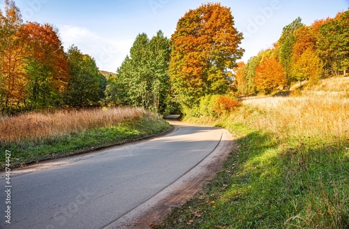 Asphalt road through the autumn forest on a sunny day