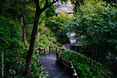                  Kamakura Hase Kannon Temple Hasedera