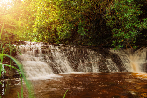 Фотография Beautiful water fall in a forest