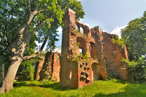 Dobra - ruiny zamku von Dewitzów, Polska photo