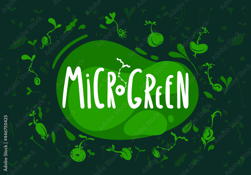 Obraz premium Microgreens or baby greens, sprouts and seeds, logo, illustration, background