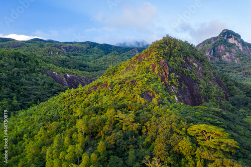 Morne Seychellois National Park aerial view from drone during sunset, golden hour, with lush tropical mountains, Mahe Island, Seychelles.