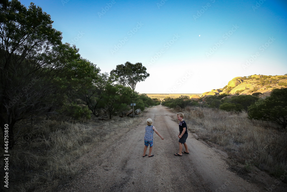 Happy little boys walking and playing on dirt road. Fun adventure in nature with kids.