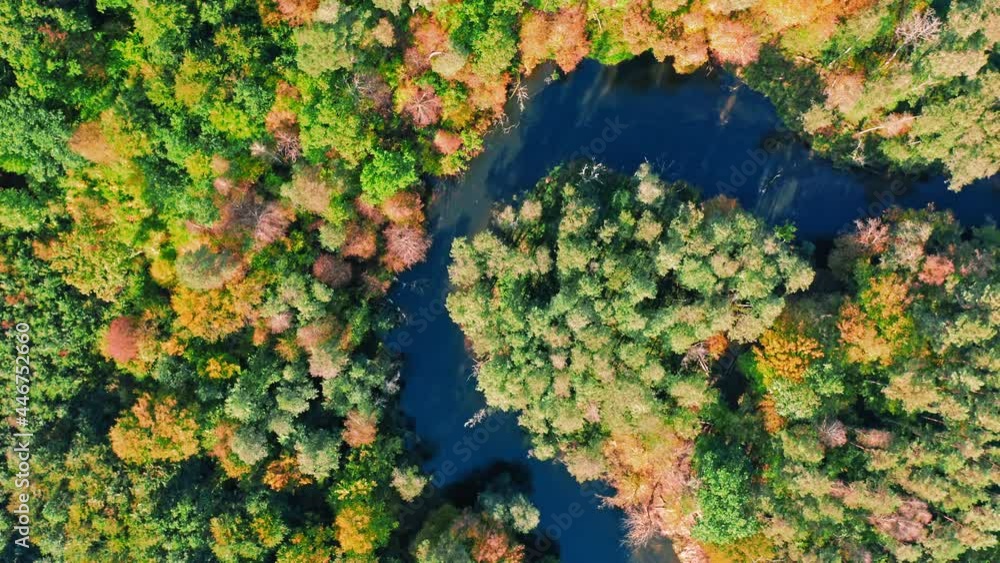 Autumn forest and curvy river. Aerial view of nature, Poland. Autumn forest and curvy river. Aerial view of nature, Poland.