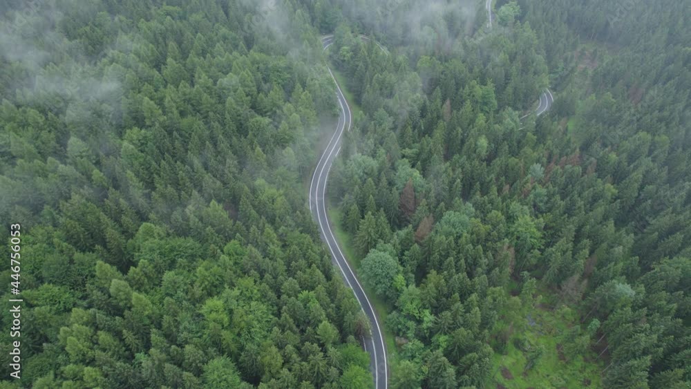 aerial view of the mountain road in a green forest (aerial) aerial view of the mountain road in a green forest (aerial)